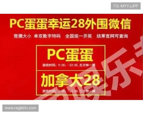 PC蛋蛋幸运28官网优惠活动与返利政策详解，享受更多福利与惊喜